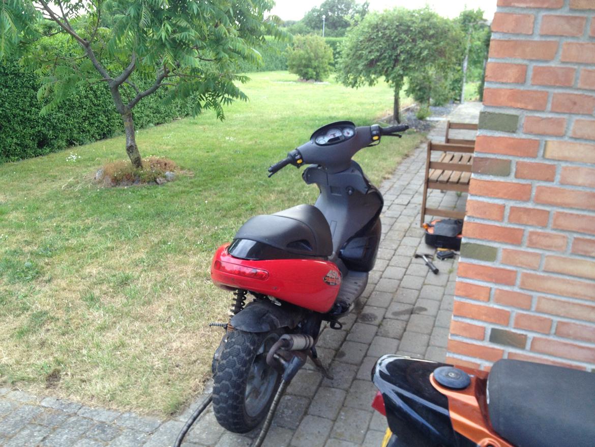 Benelli 491 racer billede 3