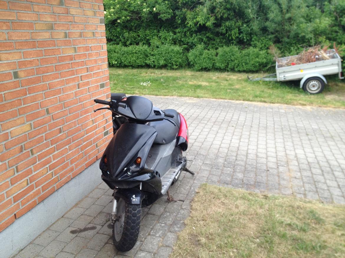 Benelli 491 racer billede 6