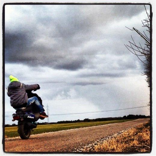 PGO Hot 50 SP billede 12