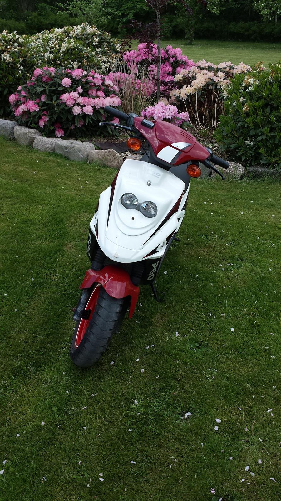 PGO Hot 50 PMPS - Solgt billede 4