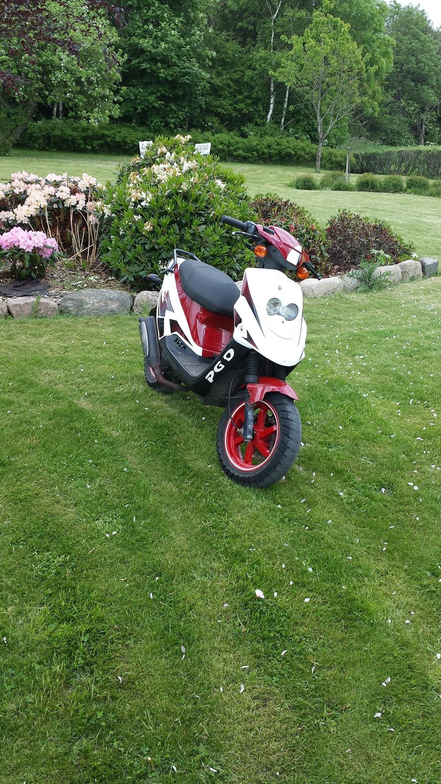 PGO Hot 50 PMPS - Solgt billede 5