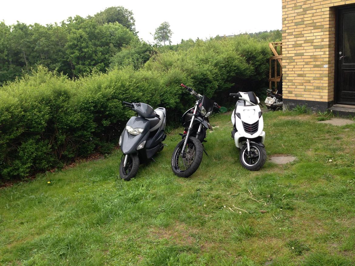 Aprilia sonic billede 8