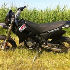 CPI SuperMotard -Frække Mie-