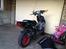 PGO Hot 50