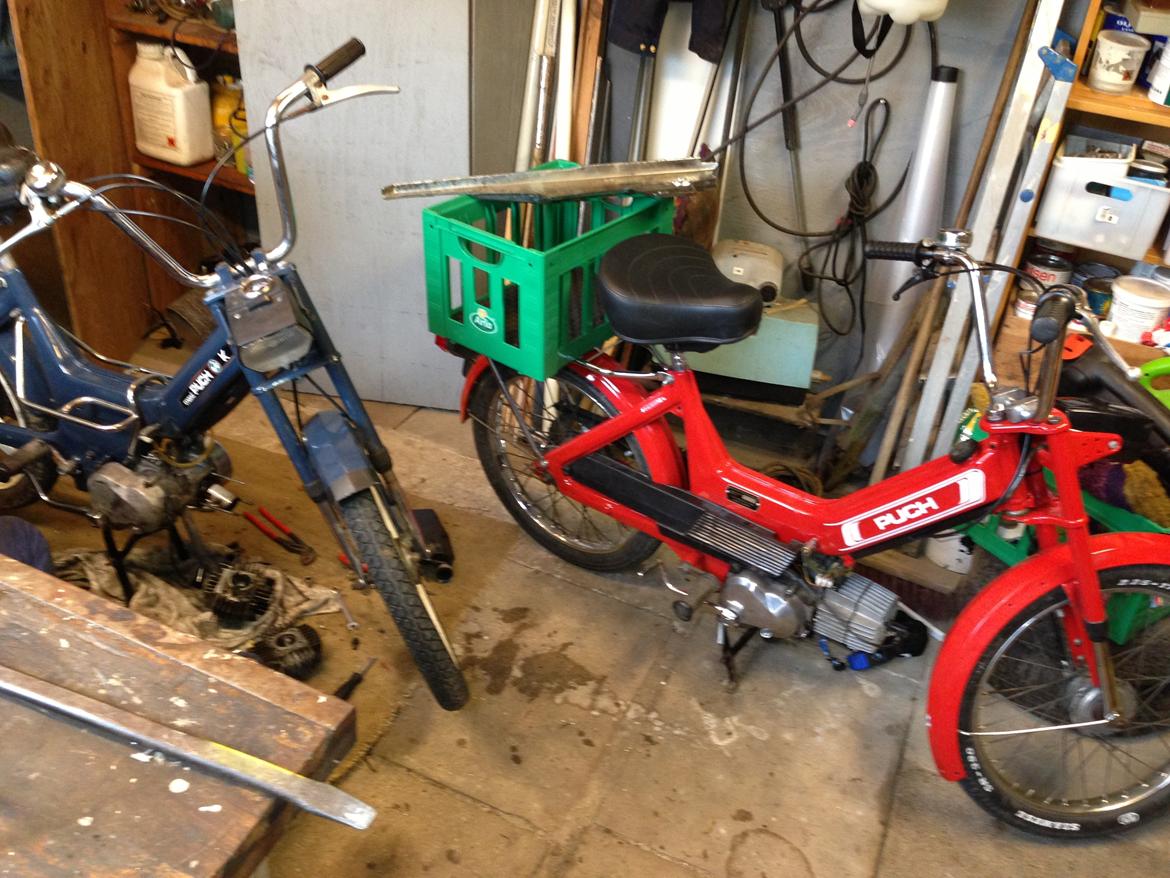 Puch maxi k (p stel).   - var ved at pille lidt ved den og så kom der lige em kammerart  billede 7