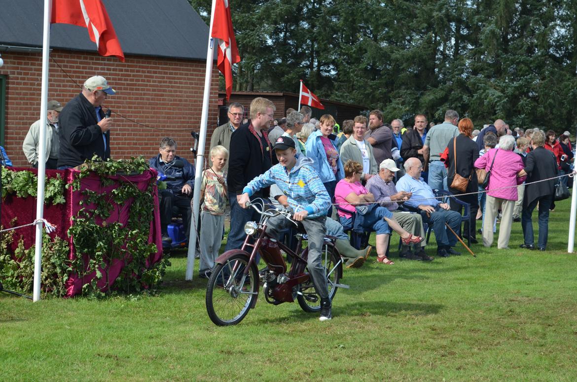 Veteraner Diesella 316 billede 15