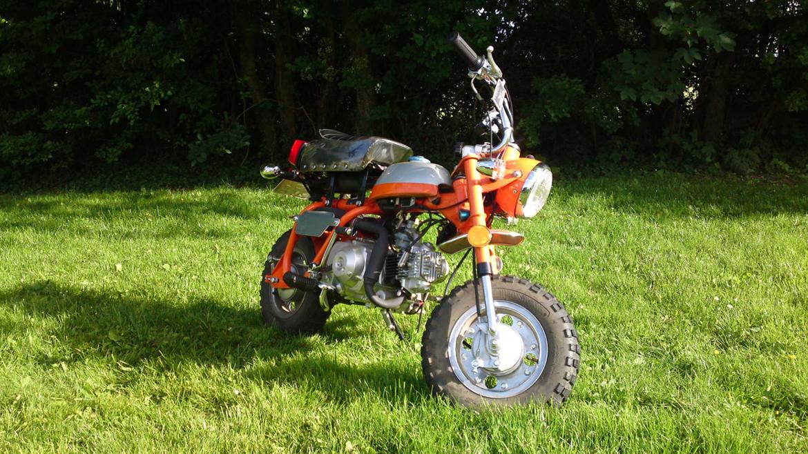 Skyteam Z50A Monkey billede 4