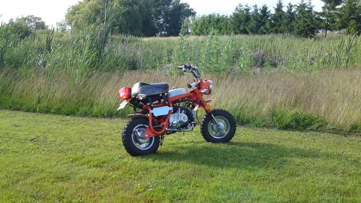 Skyteam Z50A Monkey billede 12