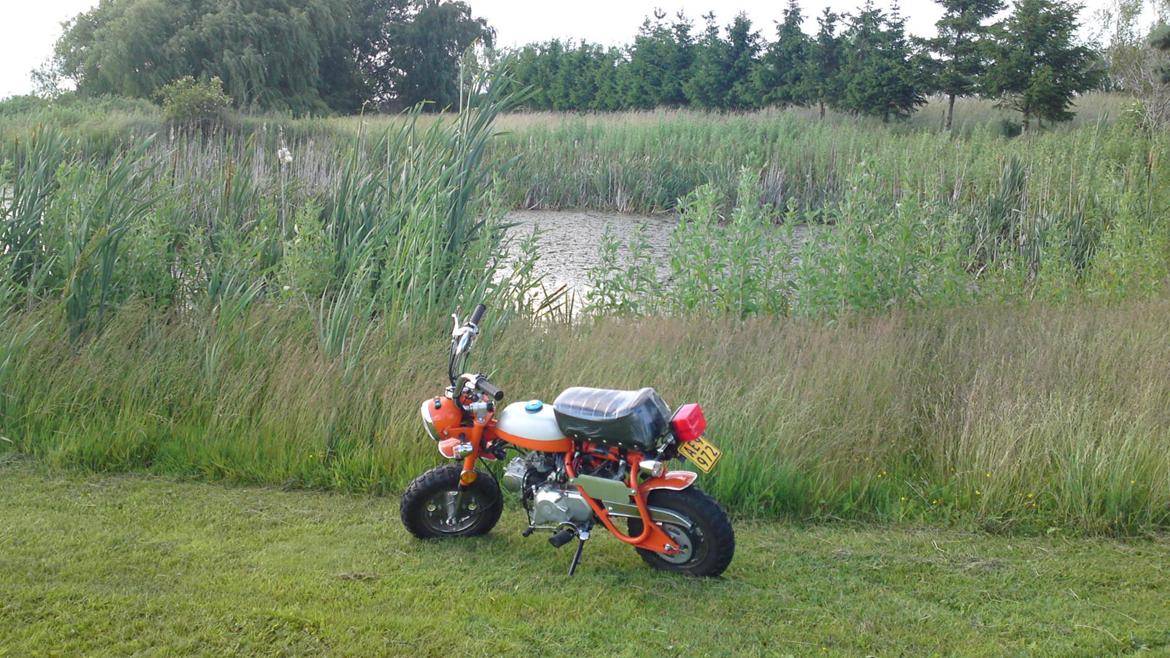 Skyteam Z50A Monkey billede 14