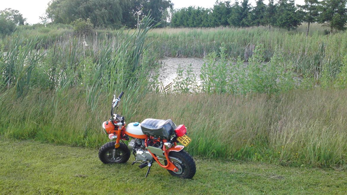 Skyteam Z50A Monkey billede 15