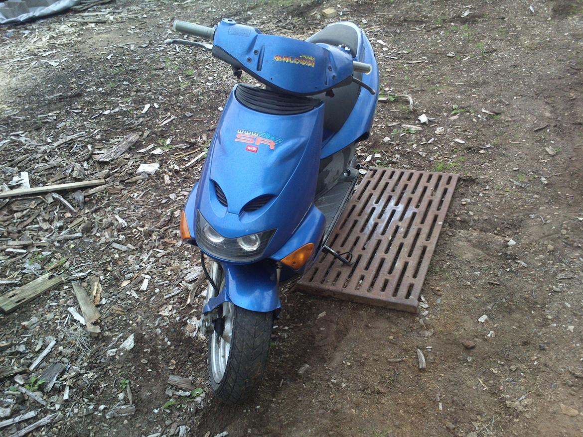 Aprilia Rally (AC) billede 4