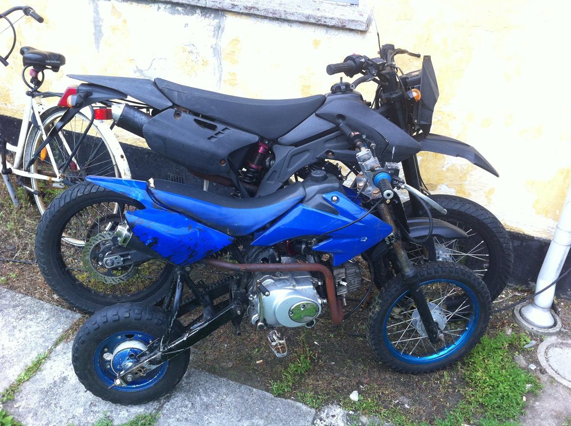 Apollo Orion   A30e50m30 billede 12