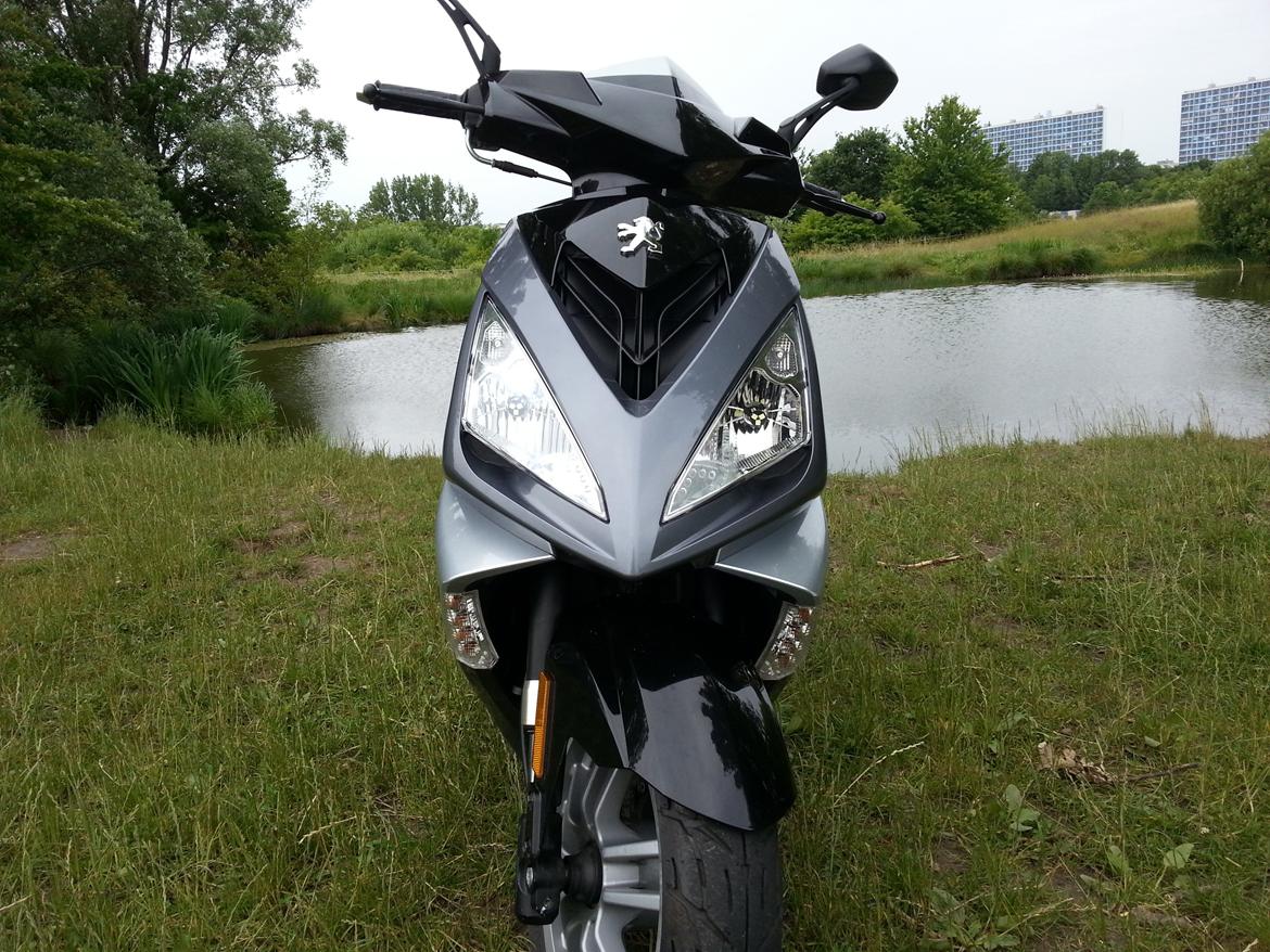 Peugeot Speedfight 3 - CANBUS - H8 19 SMD XENON WHITE billede 4