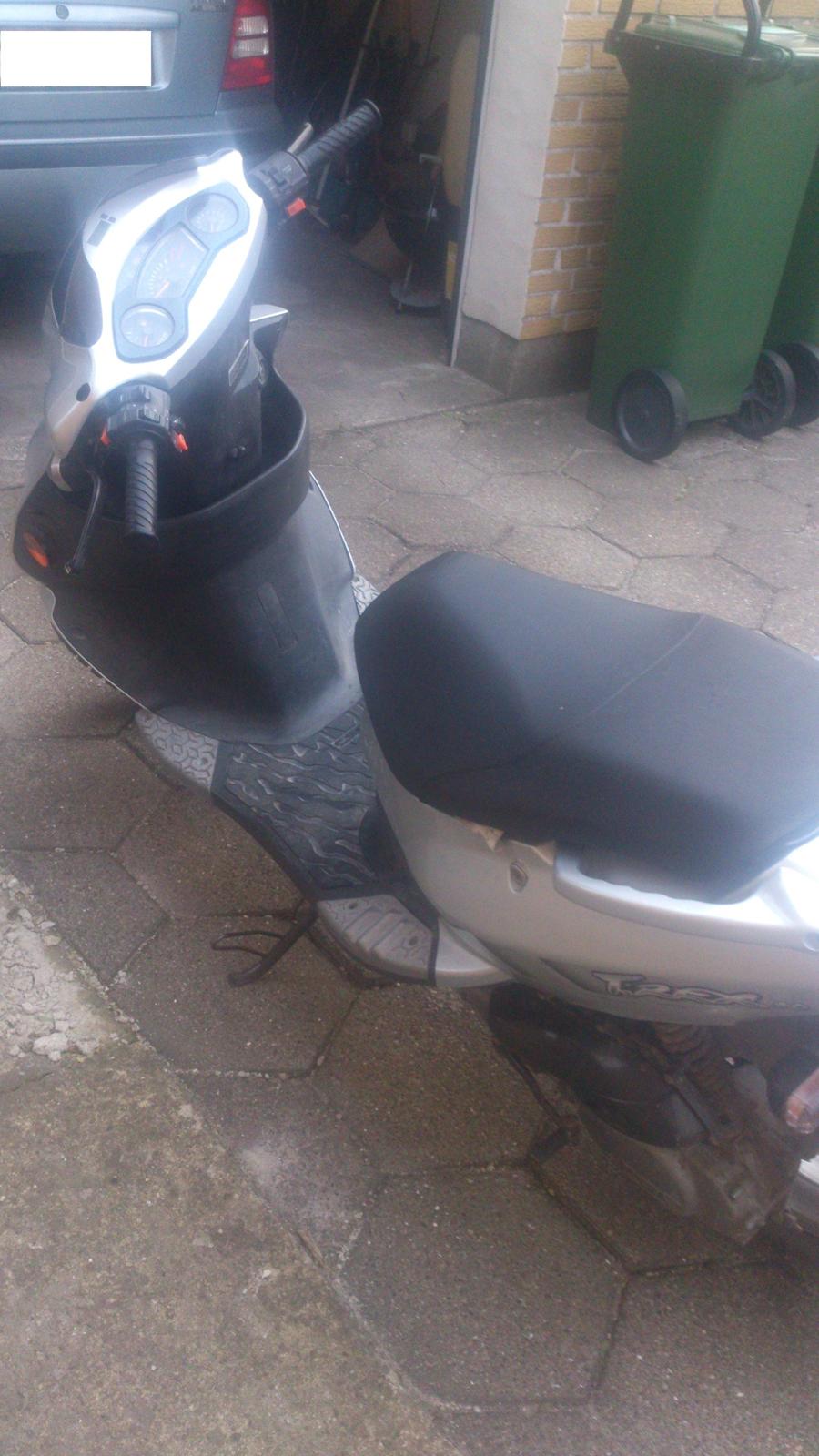 PGO t-rex 50 billede 5