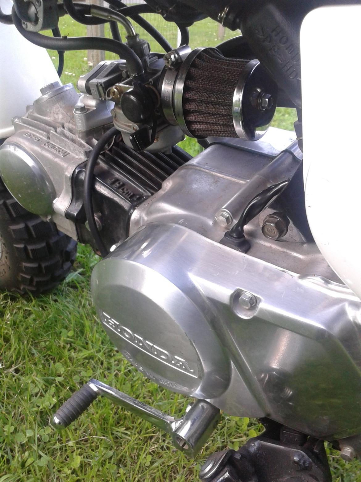 Honda Monkey Z50 Special billede 3