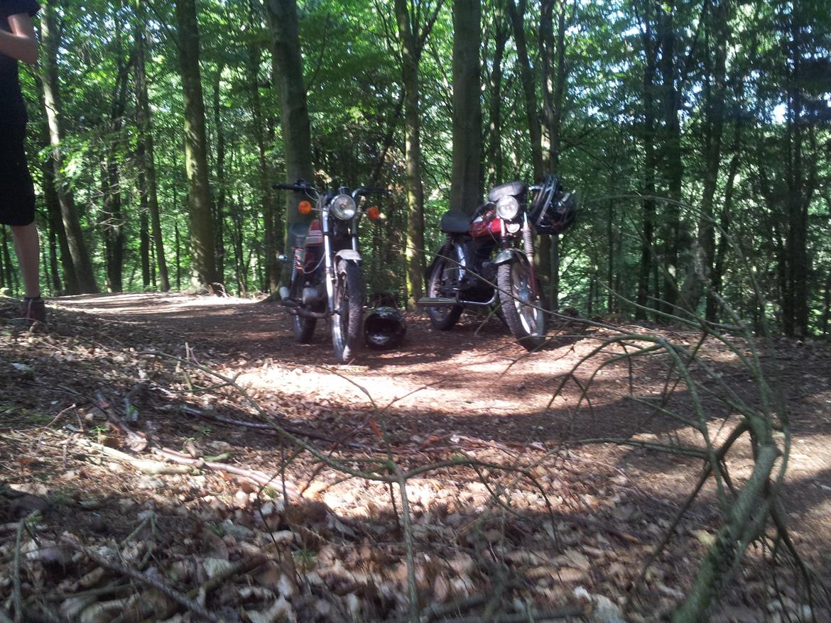 Puch monza 2 gear - Jeg var lige ude og køre en tur ved vandet og i skoven med min fætter på hans DM 50  billede 14
