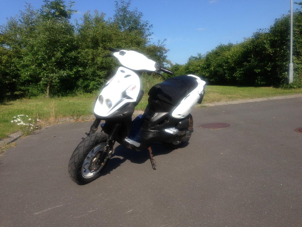 PGO PMX SPORT billede 1