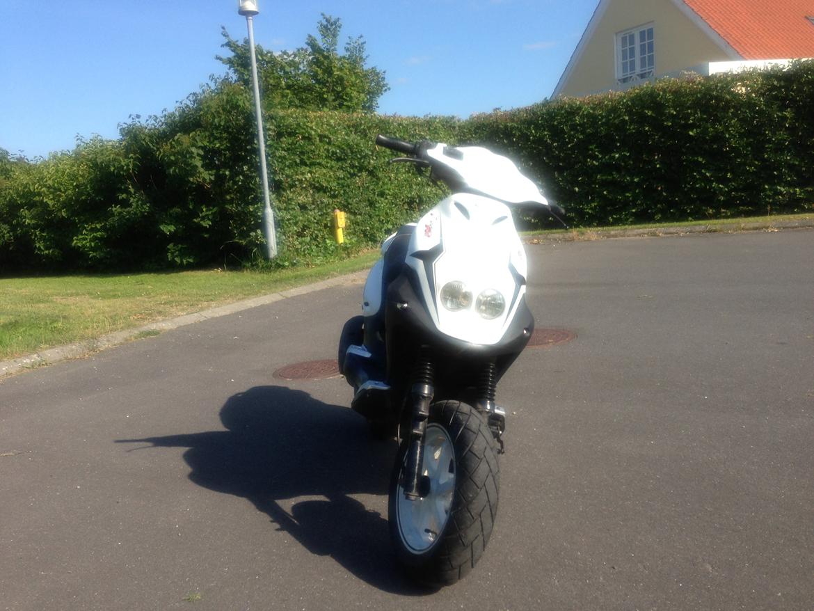 PGO PMX SPORT billede 2