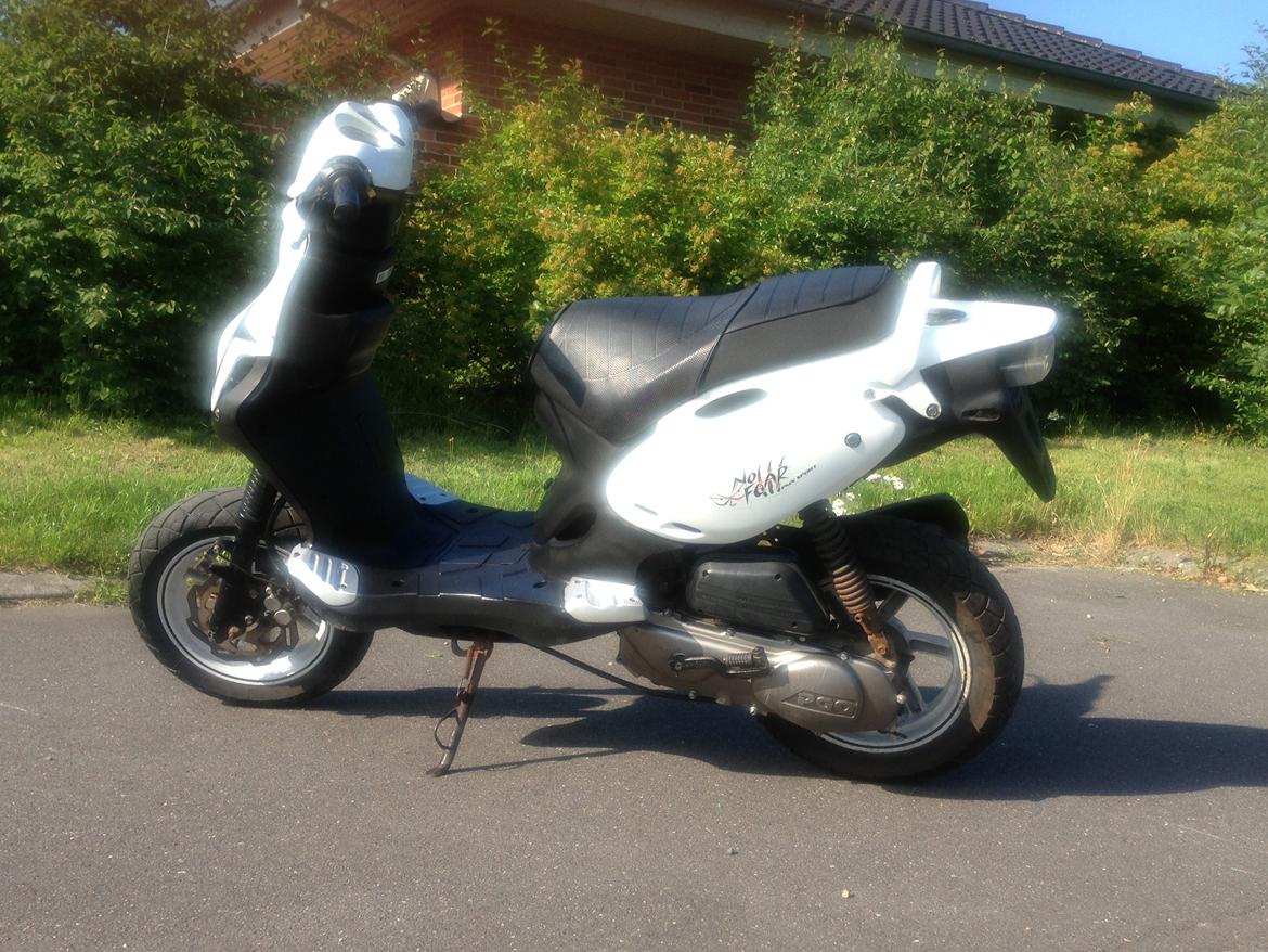 PGO PMX SPORT billede 5