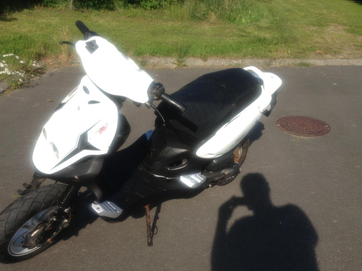 PGO PMX SPORT billede 12