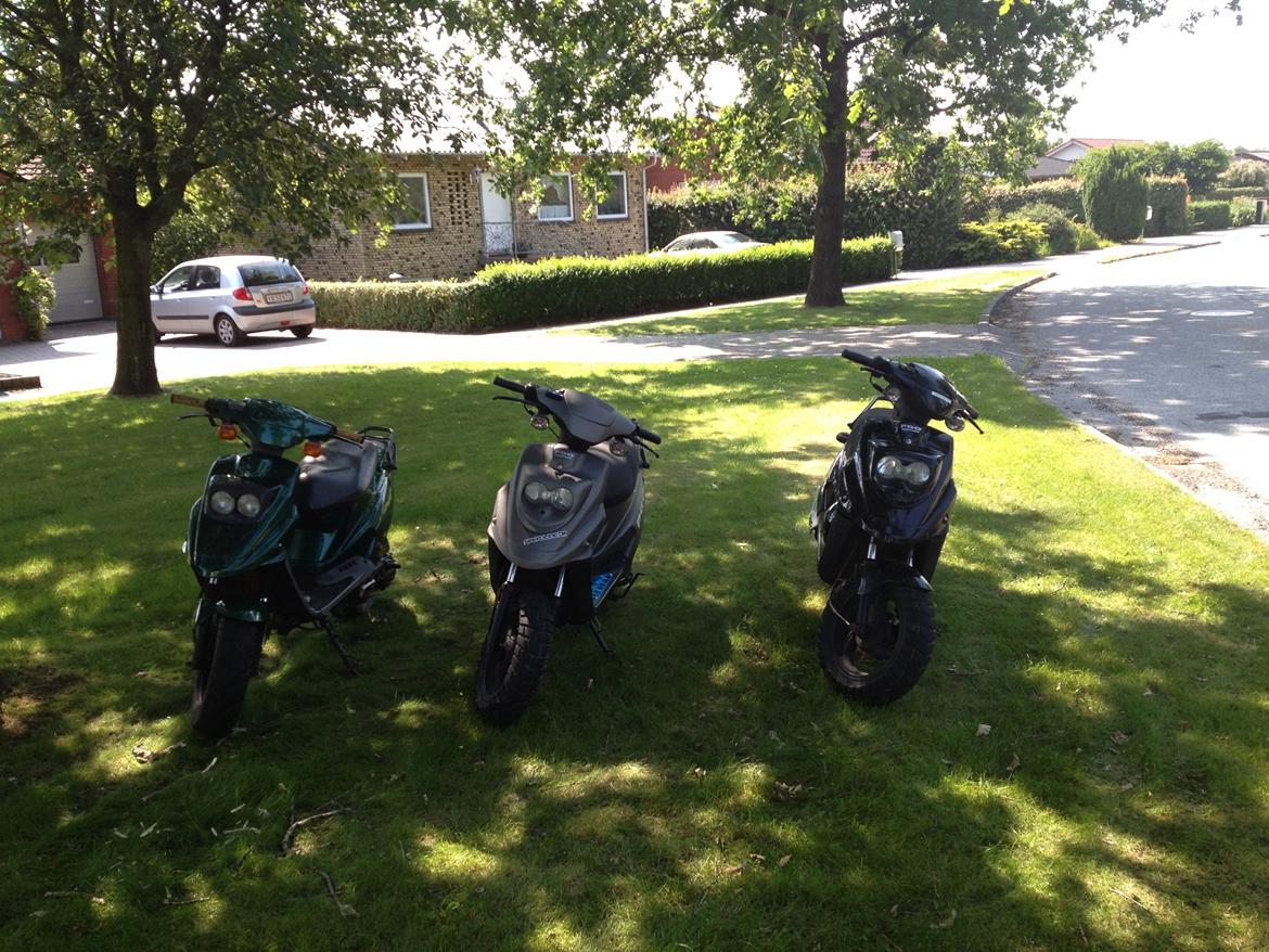 PGO Hot 50 billede 3