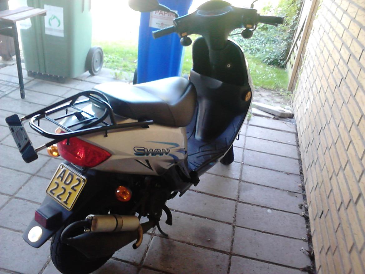 Leone Swan billede 2