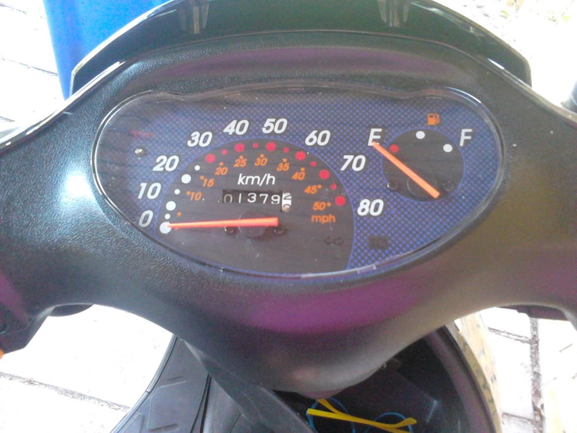 Leone Swan billede 3