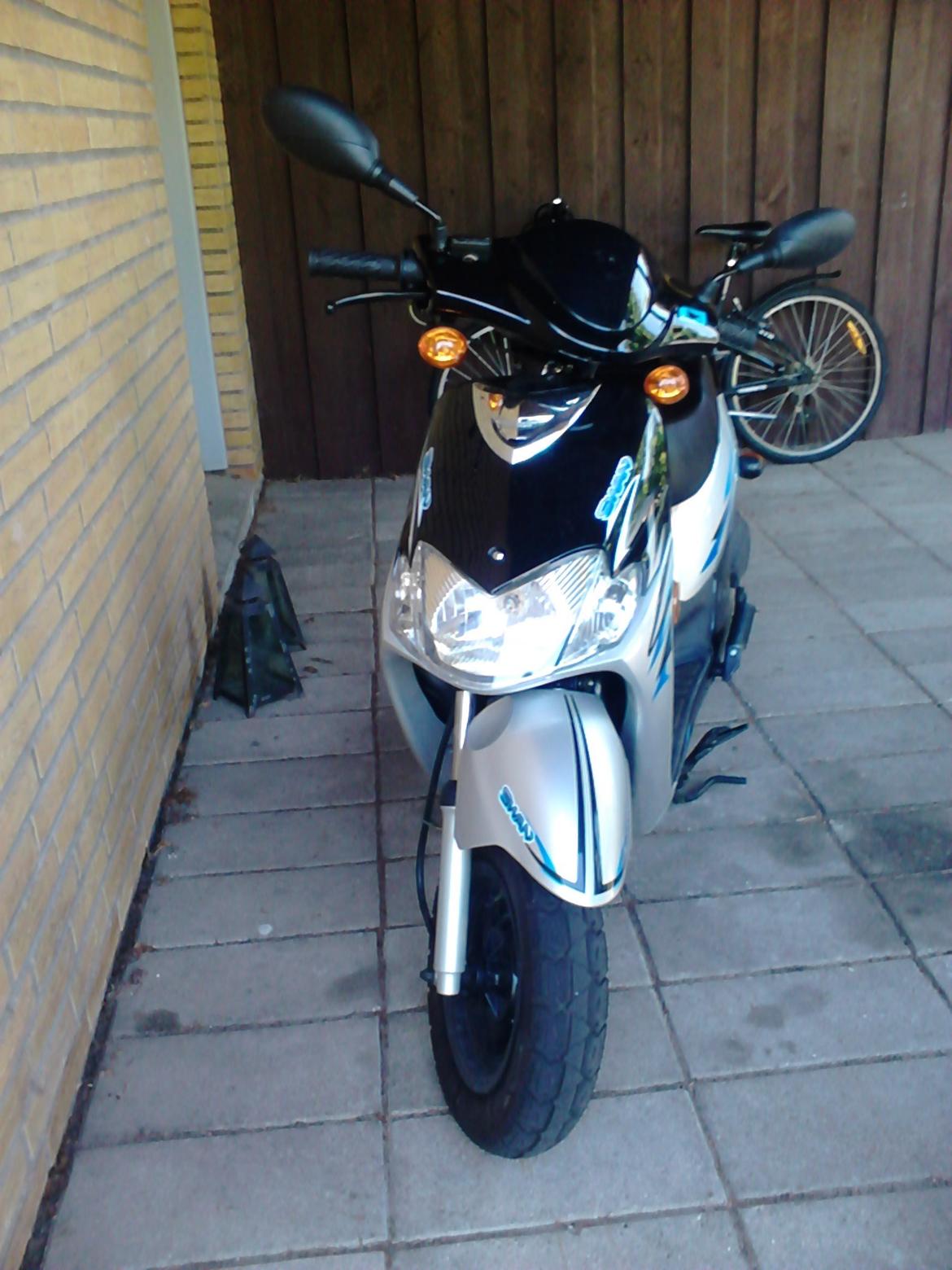 Leone Swan billede 4