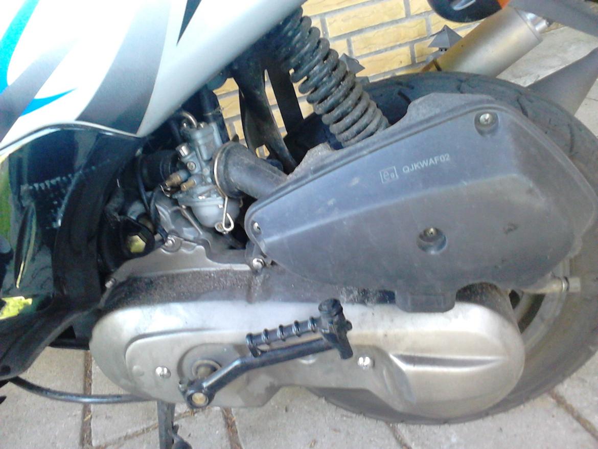 Leone Swan billede 5