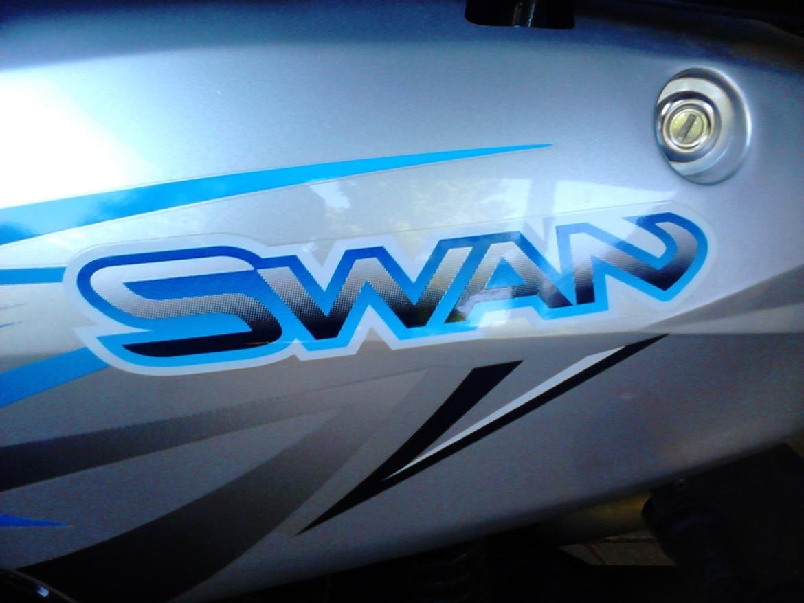 Leone Swan billede 6