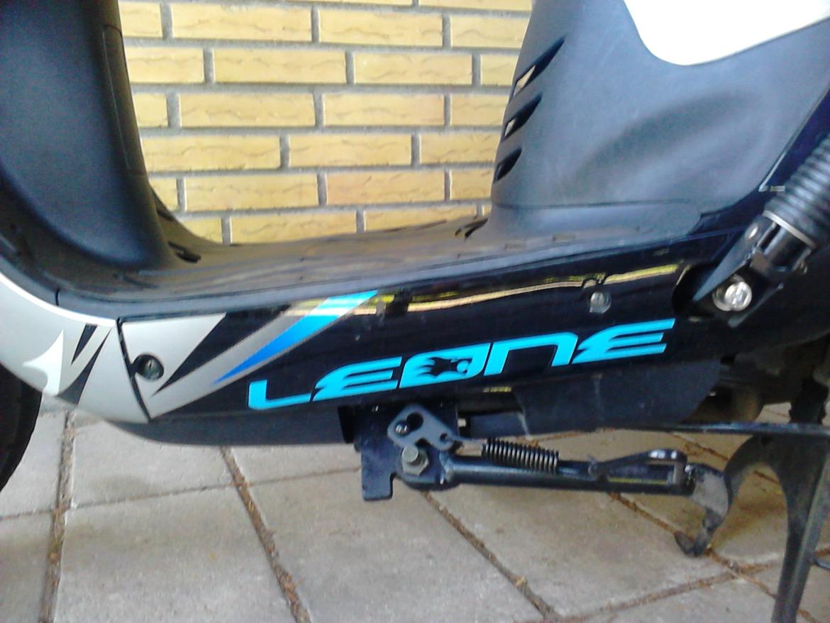 Leone Swan billede 7