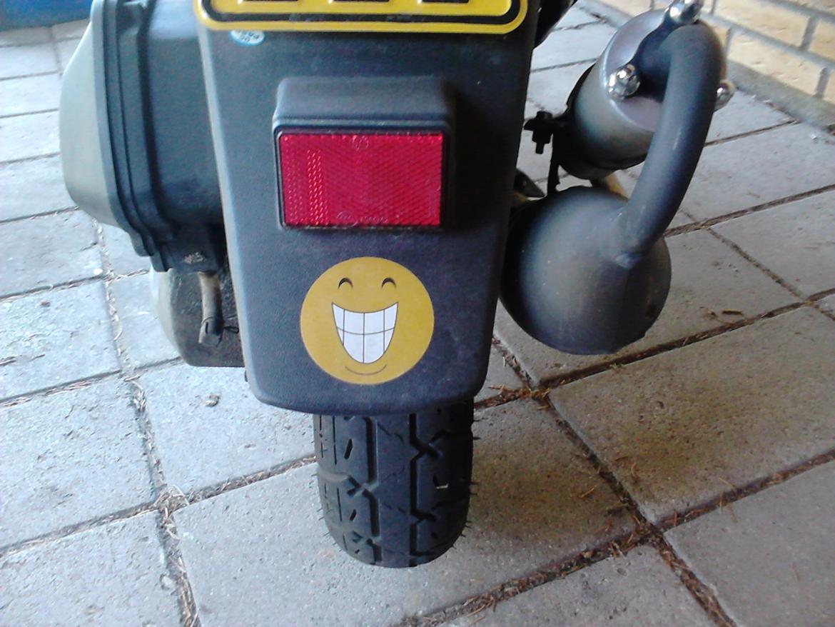 Leone Swan billede 8