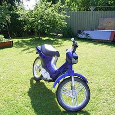 Honda Wallaroo