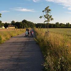 MiniBike 50cc. crosser