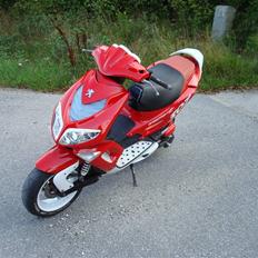 Peugeot Speedfight 2 TOTALSKADET