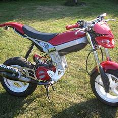 Suzuki Street magic (SOLGT)
