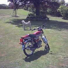 Suzuki Samurai dm 50 (solgt)