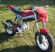 Suzuki Street magic (SOLGT)