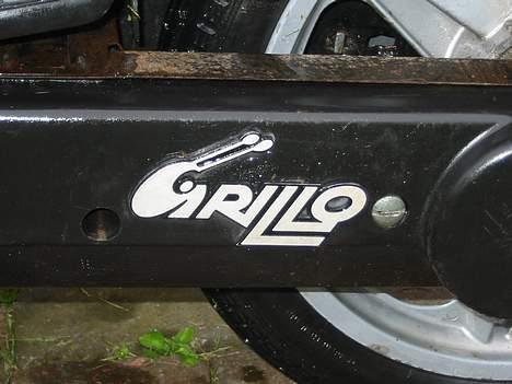 Piaggio grillo billede 3