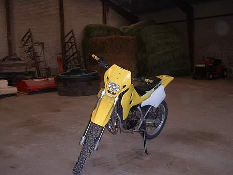 Suzuki nye billeder af skjolde billede 5