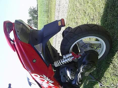 Peugeot Speedfighter 2 ! - Der kan i se mine Carbon baglygter !!  billede 3