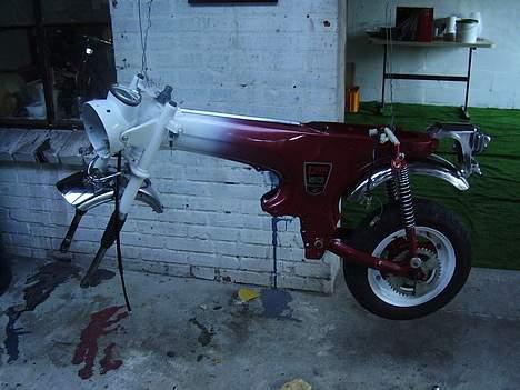 Honda Dax  billede 4