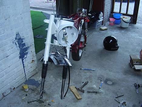 Honda Dax  billede 6