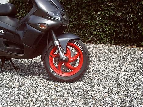 Gilera    Runner ( nye billeder) billede 16