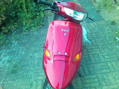 PGO Comet - Fronten - min kærestes kat bagved billede 3