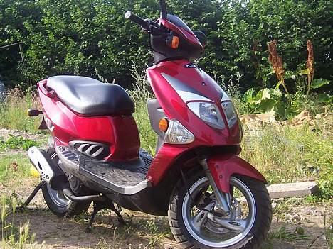 PGO Dr. Big - Min Dr. Big i fuld længde billede 1