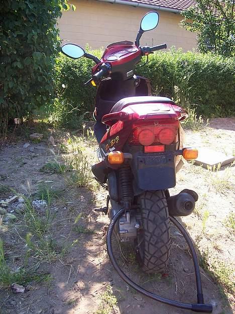 PGO Dr. Big - Min Dr. Big bagfra billede 3