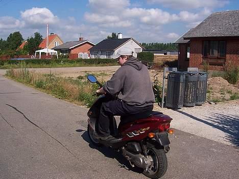 PGO Dr. Big - Mig på scooteren bagfra billede 5