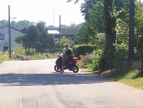 PGO Dr. Big - Min dame på scooteren 1 billede 7