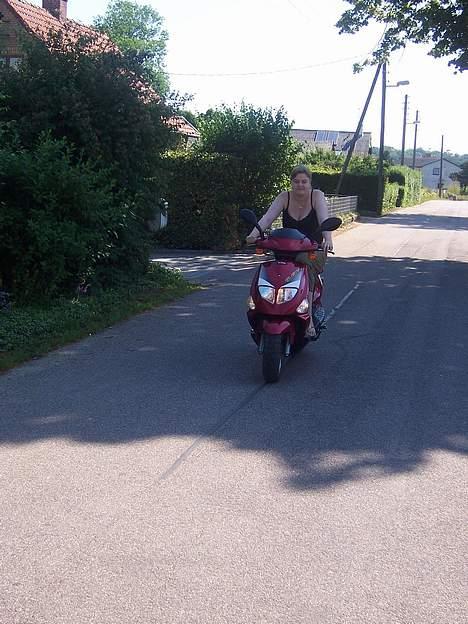 PGO Dr. Big - Min dame på scooteren 2 billede 8